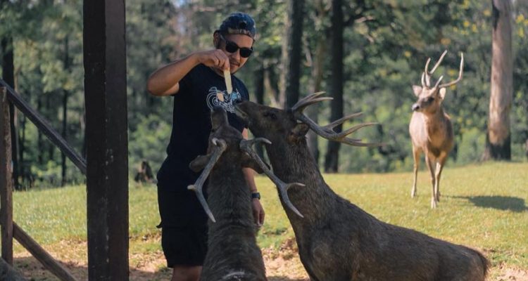 Rahasia di Balik Penangkaran Rusa Cariu Yang Bikin Kamu Pengen Langsung Kesana