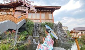 Tak Perlu ke Jepang, Nikmati Sensi Liburan Menarik Nuasa Negri Sakura di Aki Koe-En Bogor