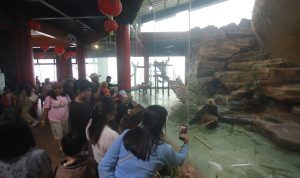 Long Weekend : 1,6 Juta Wisatawa Kunjungi Kabupaten Bogor