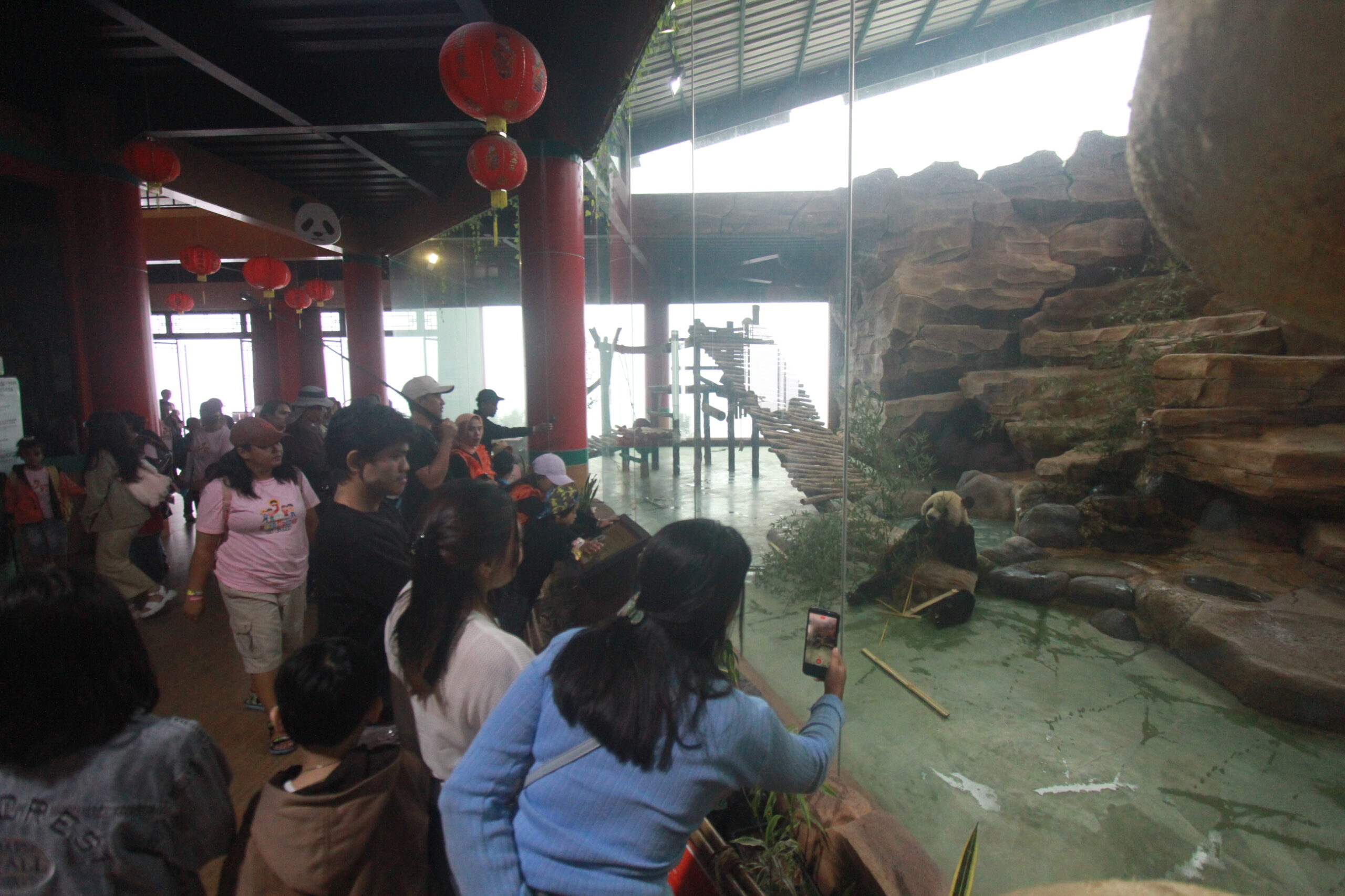 Long Weekend : 1,6 Juta Wisatawa Kunjungi Kabupaten Bogor