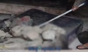 Sempat Dikira Boneka, Mayat Perempuan di Desa Ciherang Pondok ditemukan Tewas Telanjang