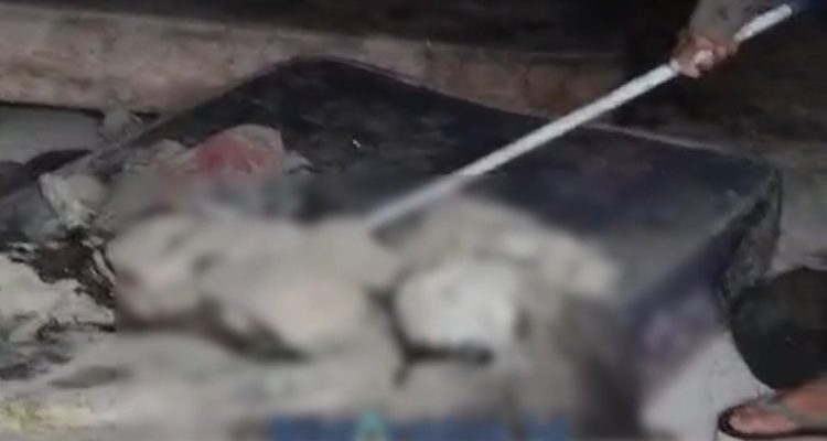 Sempat Dikira Boneka, Mayat Perempuan di Desa Ciherang Pondok ditemukan Tewas Telanjang