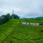 Walhi Jawa Barat Sebut 10 Hektar Lahan di Kawasan Puncak Hilang