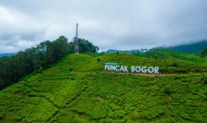 Walhi Jawa Barat Sebut 10 Hektar Lahan di Kawasan Puncak Hilang