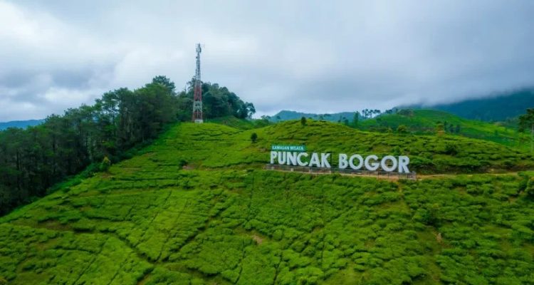 Walhi Jawa Barat Sebut 10 Hektar Lahan di Kawasan Puncak Hilang
