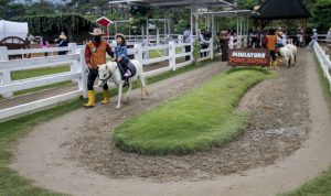 5 Rekomendasi Tempat Wisata Anak di Puncak Bogor