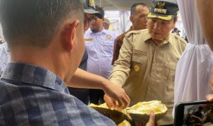 PJ Bupati Bogor Cicipi Durian Lokal Khas Leuwiliang : Rasanya Enak