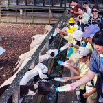 6 Wisata Edukasi di Bogor yang Cocok untuk Liburan Anak Sekolah