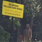 TSI Bogor Buka Suara Terkait Pengunjung yang Turun dari Mobil Saat Safari Journey