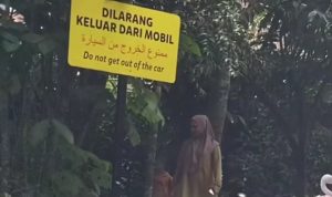 TSI Bogor Buka Suara Terkait Pengunjung yang Turun dari Mobil Saat Safari Journey