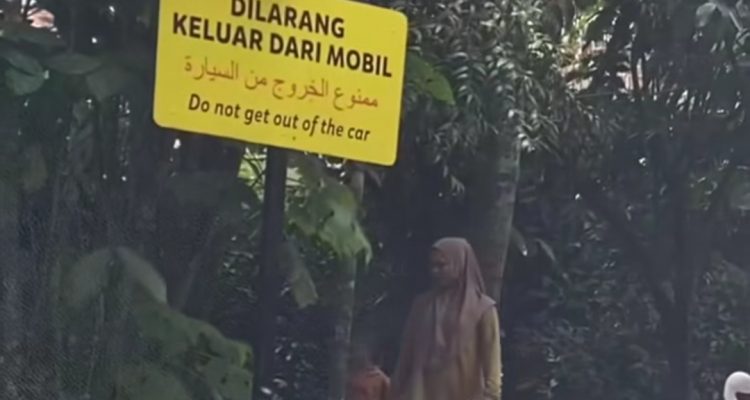 TSI Bogor Buka Suara Terkait Pengunjung yang Turun dari Mobil Saat Safari Journey