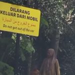 TSI Bogor Sanksi Pengunjung Yang Turun dari Mobil saat Safari Journey