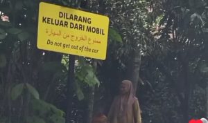 TSI Bogor Sanksi Pengunjung Yang Turun dari Mobil saat Safari Journey