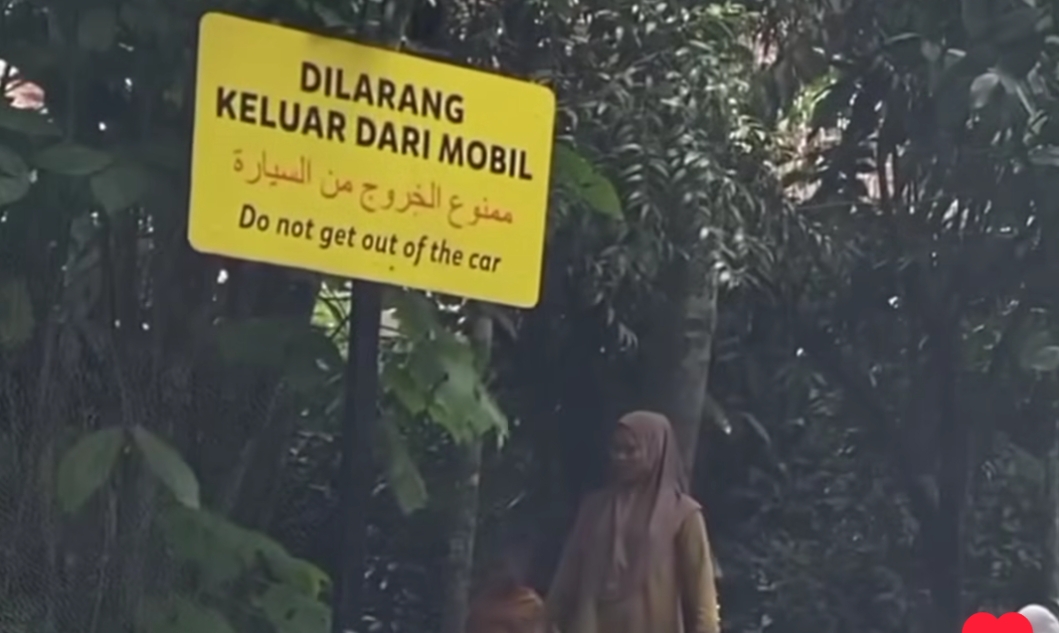 TSI Bogor Sanksi Pengunjung Yang Turun dari Mobil saat Safari Journey