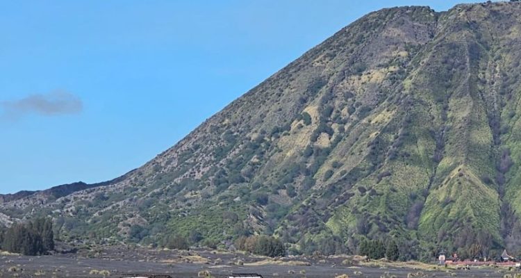 Balai Besar TNBTS: Ladang Ganja Tidak Berlokasi di Gunung Bromo