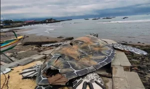 Anggaran Capai Rp15,6 Miliar, Patung Penyu di Alun-alun Gadobangkong Terbuat dari Kardus