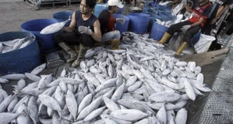 Kebutuhan Ikan Selama Ramadan akan Meningkat, KKP Pastikan Stok Ikan Tetap Aman