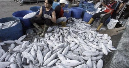 Kebutuhan Ikan Selama Ramadan akan Meningkat, KKP Pastikan Stok Ikan Tetap Aman