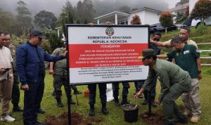 4 Vila di Puncak Disegel, Berdiri di Lahan Hutan Produksi
