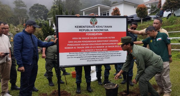 4 Vila di Puncak Disegel, Berdiri di Lahan Hutan Produksi