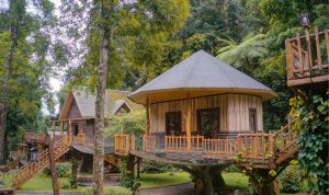 Liburan Lebaran Tak Terlupakan di Safari Resort: Nikmati Petualangan dan Relaksasi di Tengah Alam