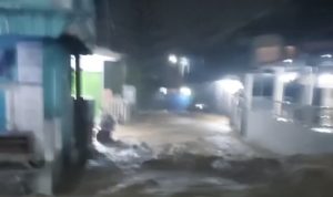 Akibat Hujan Deras, Kampung Pensiunan Puncak Banjir