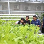 Perumda Pasar Tohaga Hadirkan Tohaga Mart, Bakal Jadi Distributor Andalan untuk Pedagang