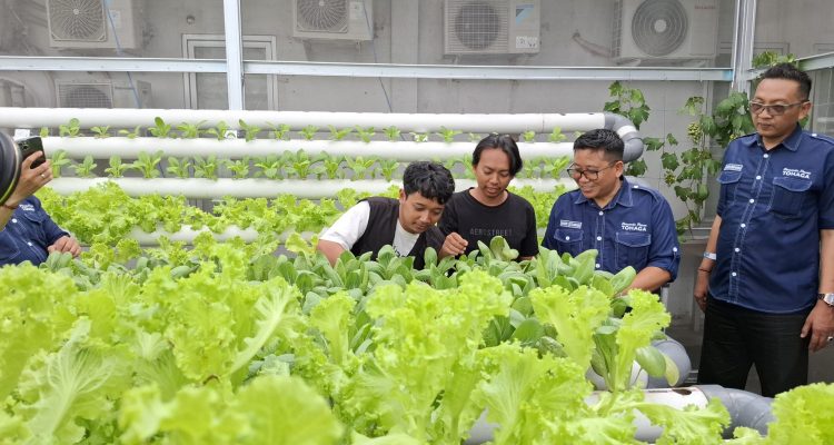 Perumda Pasar Tohaga Hadirkan Tohaga Mart, Bakal Jadi Distributor Andalan untuk Pedagang