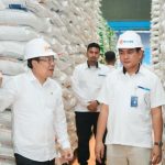 Produksi Beras dari Januari hingga Mei 2025 Diperkirakan Capai 16,62 Juta Ton