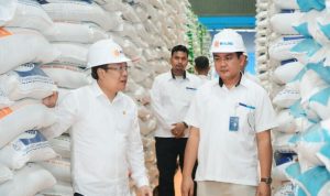 Produksi Beras dari Januari hingga Mei 2025 Diperkirakan Capai 16,62 Juta Ton