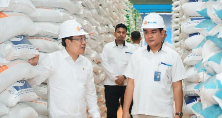 Produksi Beras dari Januari hingga Mei 2025 Diperkirakan Capai 16,62 Juta Ton