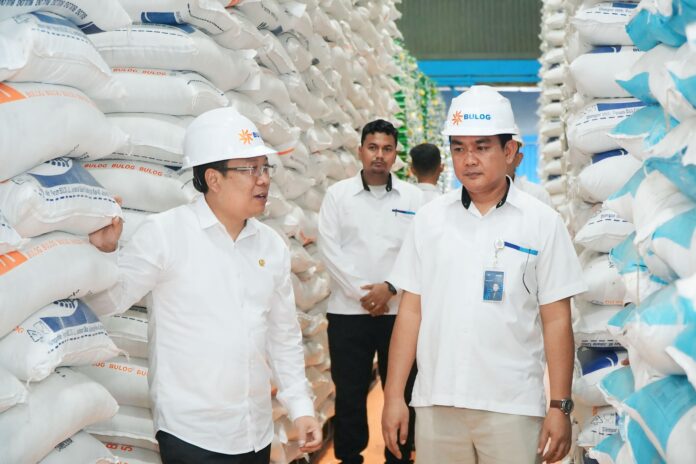 Produksi Beras dari Januari hingga Mei 2025 Diperkirakan Capai 16,62 Juta Ton