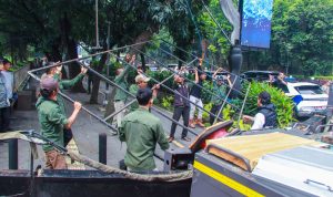 Reklame Tak Berizin di Jalan Pajajaran Dibongkar Pemkot Bogor
