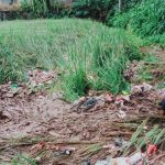 10 Tahun Wisma Kinasih Diduga Buang Sampah Sembarangan, Warga sampai Gagal Panen