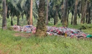 Perkebunan Sawit Rancabungur Diduda Jadi Tempat Pembuangan Sampah Ilegal