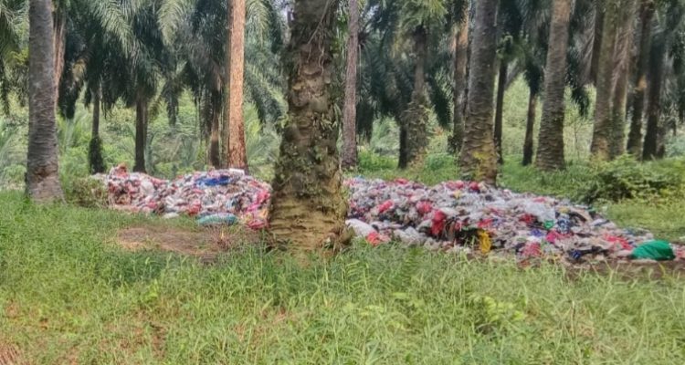 Perkebunan Sawit Rancabungur Diduda Jadi Tempat Pembuangan Sampah Ilegal