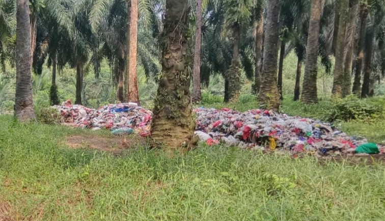 Perkebunan Sawit Rancabungur Diduda Jadi Tempat Pembuangan Sampah Ilegal