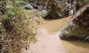 Walhi Jabar Desak Pemkab Bogor Tegas Atasi Kerusakan Lingkungan di Gunung Pongkor