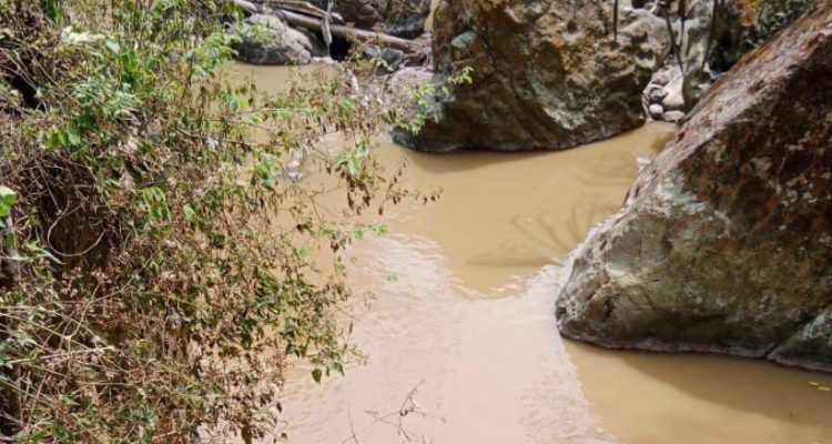 Walhi Jabar Desak Pemkab Bogor Tegas Atasi Kerusakan Lingkungan di Gunung Pongkor