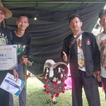 Kisah Asep dan Domba Montaya : Dirawat Sejak Kecil, Bakal Dijual 50 Juta