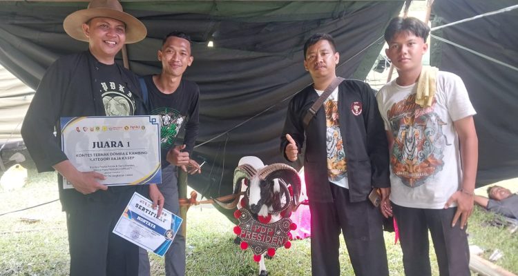 Kisah Asep dan Domba Montaya : Dirawat Sejak Kecil, Bakal Dijual 50 Juta