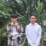 Dua Pelaku Vandalisme Tanaman Kaktus di Kebun Raya Bogor Minta Maaf, Lantas Bagaimana Sanksinya ?