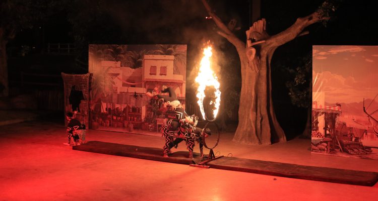 Rayakan Idul Fitri dengan Petualangan Seru Safari Malam di Taman Safari Bogor