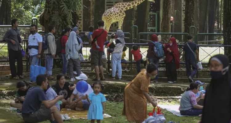 Biaya Relatif Terjangkau, Wisatawan Lebih Memilih Berlibur ke Ragunan