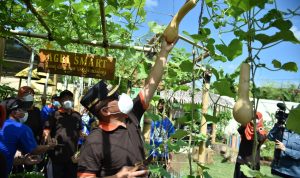 Bupati Kebumen Resmi Luncurkan Kawasan Agromen, Wisatawan Dapat Nimati Sembari Memetik Buah Sendiri