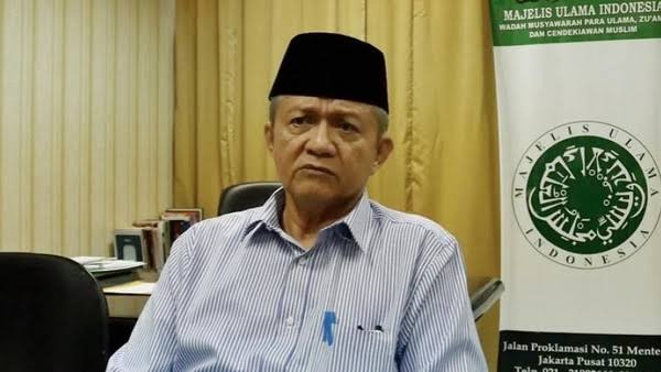 2 Tokoh Utama MUI Menolak Rencana Presiden Prabowo Evakuasi Warga Palestina ke RI