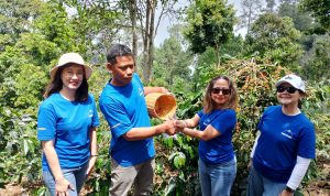 Produksi Kopi Cikoneng Meroket 350 Persen, Bakti BCA Lanjutkan Revitalisasi