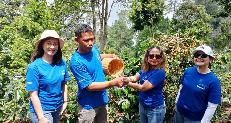 Produksi Kopi Cikoneng Meroket 350 Persen, Bakti BCA Lanjutkan Revitalisasi