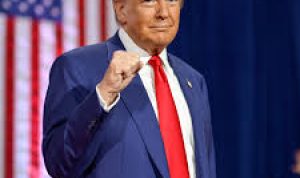 Banyak Negara Berencana Bangun Pabrik di RI, Faktor Tarif Resiprokal Trump