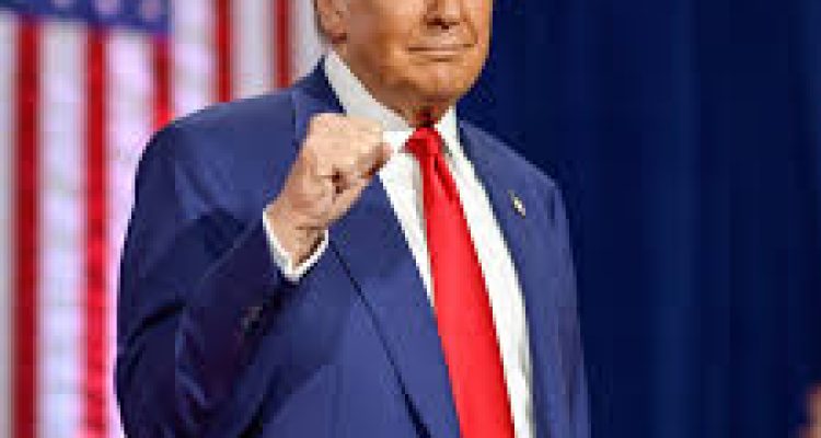 Banyak Negara Berencana Bangun Pabrik di RI, Faktor Tarif Resiprokal Trump